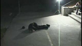 Emerica Intro titles and Heath Kirchart