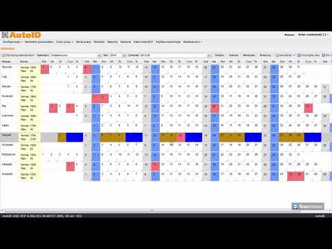 Wideo: Jak Zaplanować Grafik Pracy