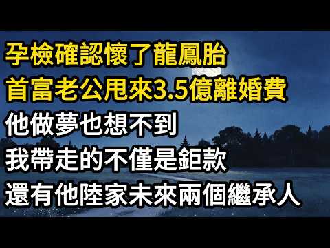 孕檢確認懷了龍鳳胎，首富老公甩來三點五億離婚費。他做夢也想不到，我帶走的不僅是鉅款，還有他陸家未來的兩個繼承人。