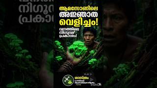 ആമസോണിലെ അജ്ഞാത വെളിച്ചം! | The Mystery of Glowing Forest | Tech Tips Malayalam  #naturelovers