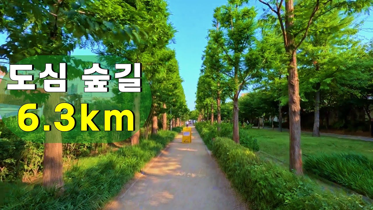 아직 모르시나요?  서울 한복판 숲길 6.3km