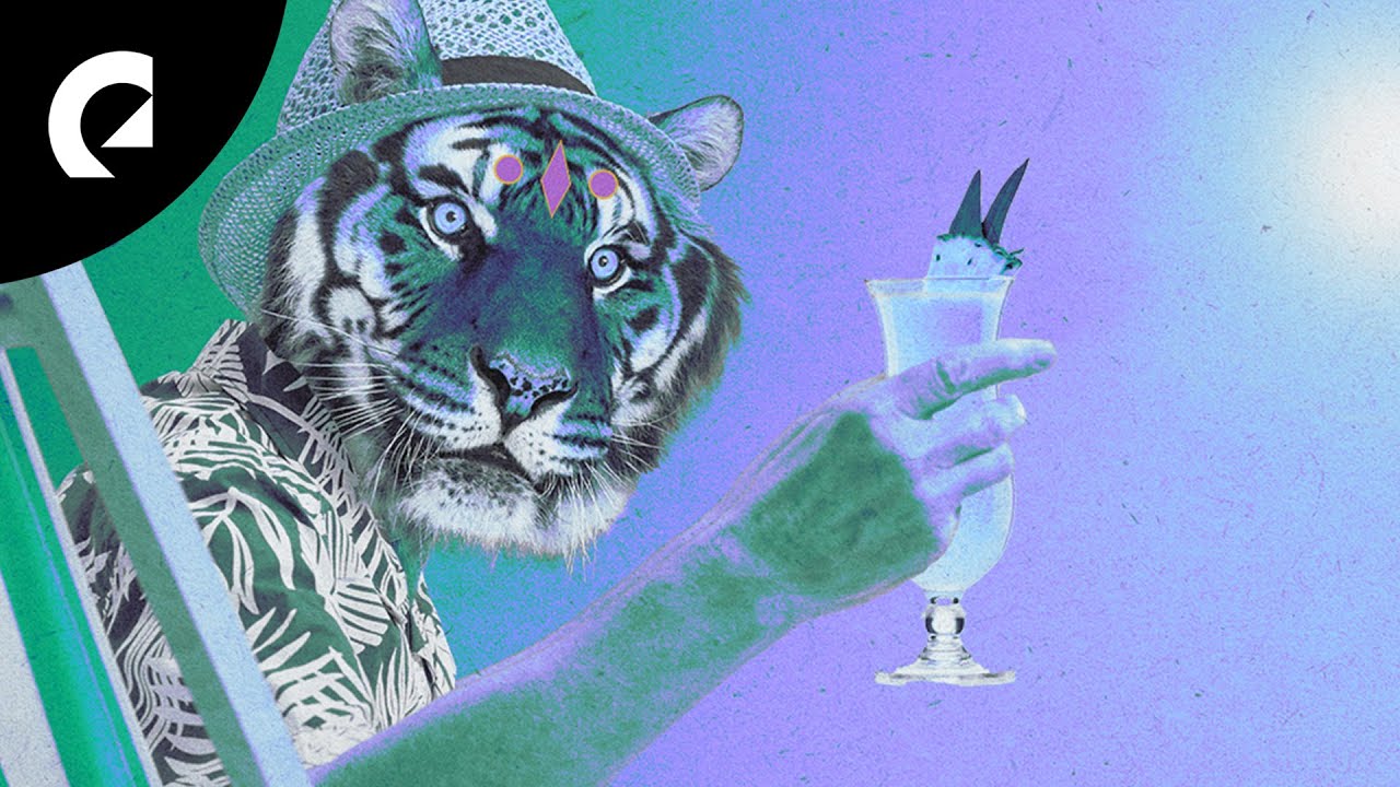 Don Bacilón - La Piña Express