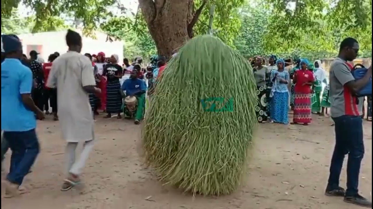 BALONGUINE  TOUT SUR LA FÊTE ALAMANE DES FEMMES DU VILLAGE.  SPECTACLE INÉDIT.  REGARDEZ