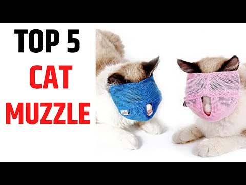 Best Cat Muzzle 2021: Tope 5 Cat Muzzle You Can Buy - Best Cat Muzzle Review