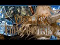 SKYRIM MOD I Ultimate Vindictus Combat : Fiona
