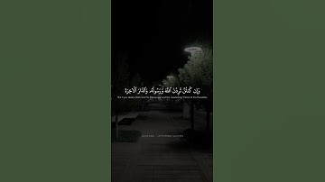فَتَعَالَيْنَ أُمَتِّعْكُنَّ وَأُسَرِّحْكُنَّ | محمد صديق المنشاوي | سورة الاحزاب