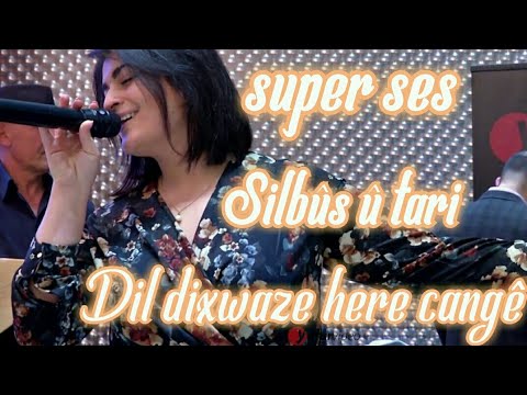 silbûs û tari | dil dixwaze here  cange (super ses)