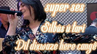 silbûs û tari | dil dixwaze here  cange (super ses)