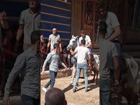 الف مليون مبروك وعقبال عندكم كل الحبايب