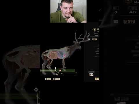 I Played Way of the Hunter 2!