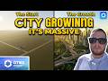 BUILDING AN AIRPORT & GROWING THE CITY - Cities Skylines: 2
