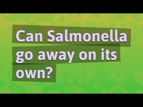 فيديو: هل تختفي السالمونيلا من تلقاء نفسها؟