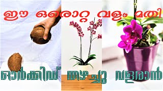 Best Fertilizer for orchids to grow - Coconut Water (തേങ്ങാവെള്ളം)