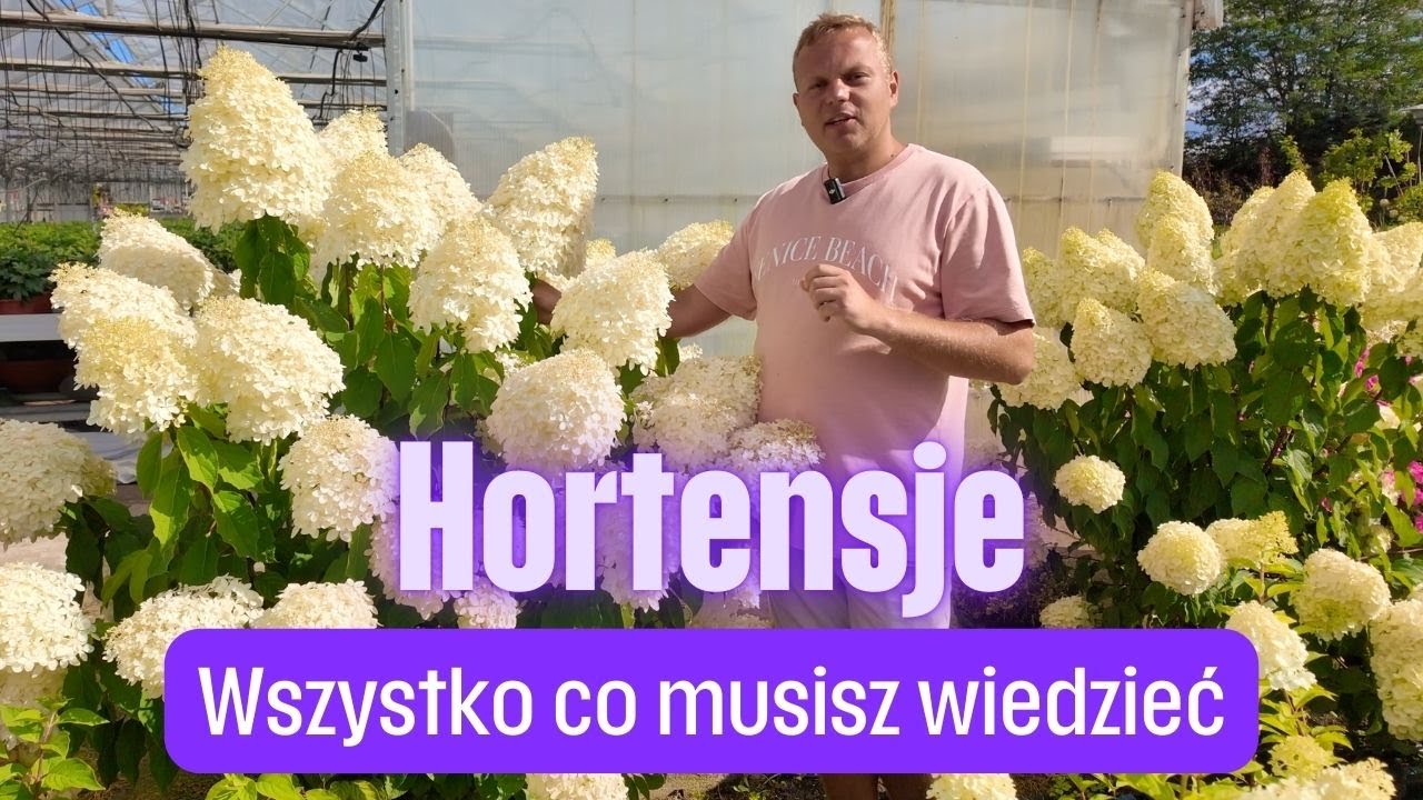 Hortensje – gatunki, odmiany i przycinanie | Okiem Ogrodnika #8 S25