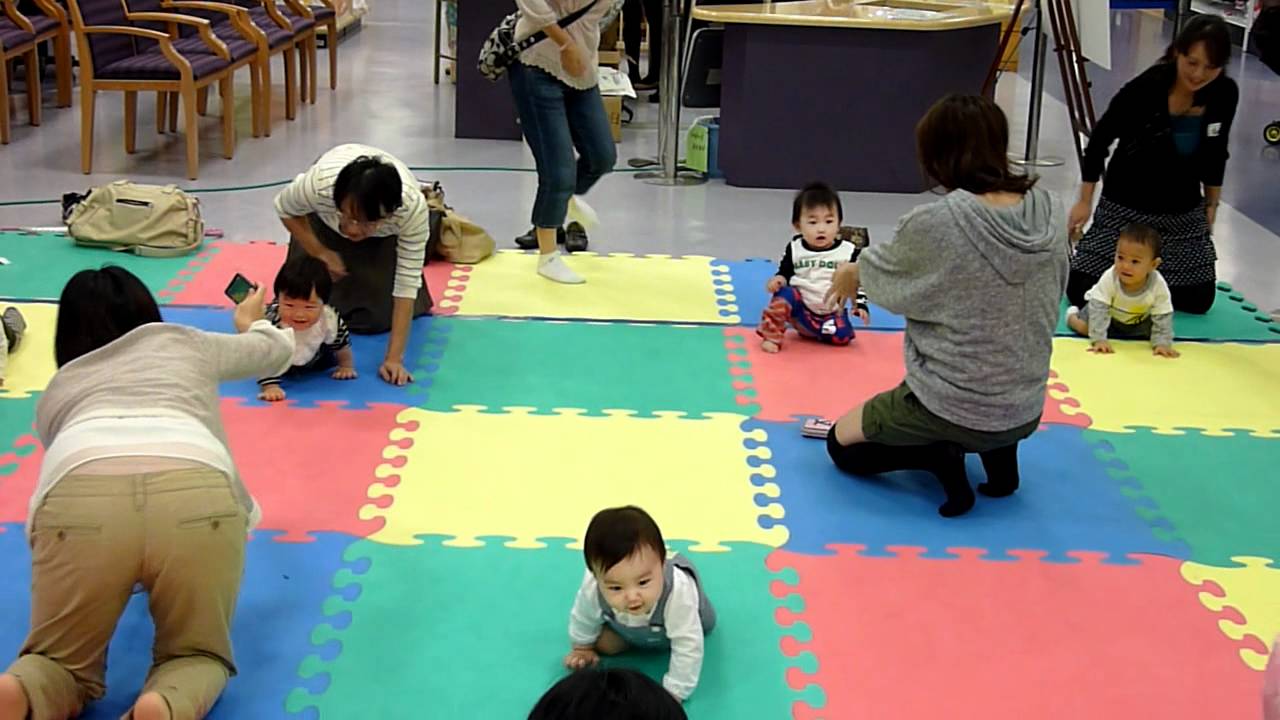 ハイハイレース