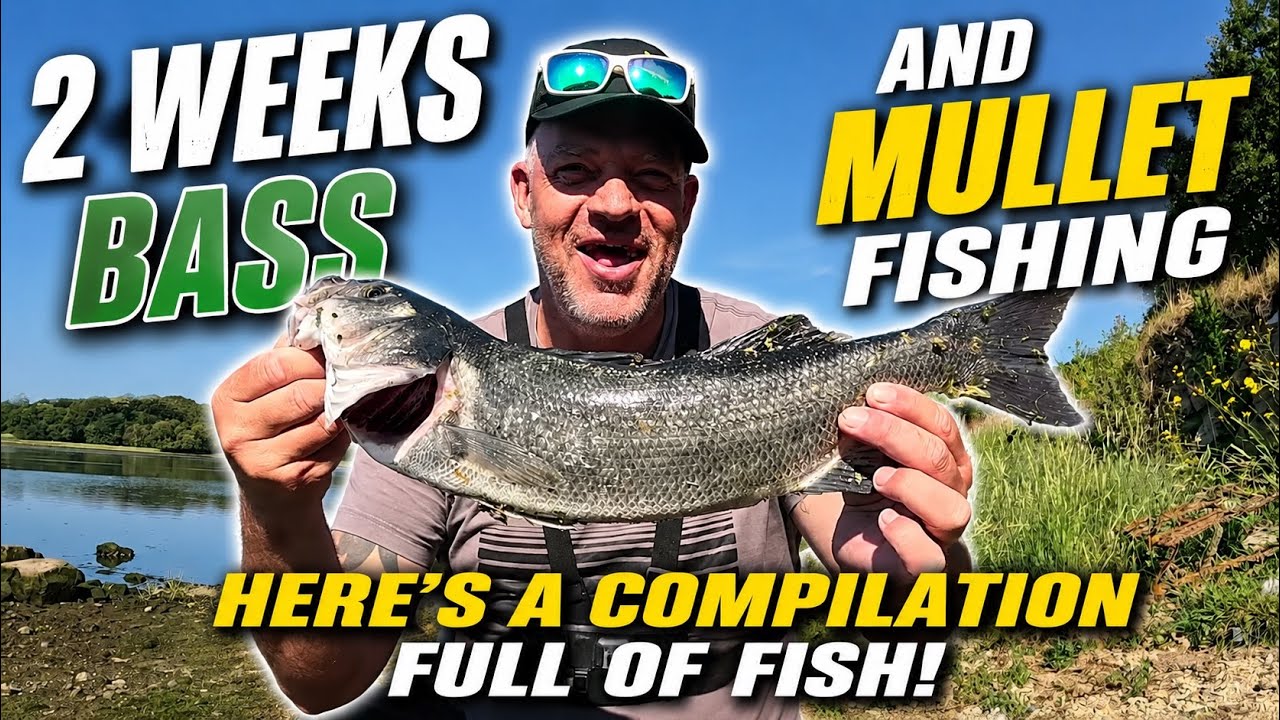 Jaw-Dropping Bass & Mullet Fishing Compilation – See It All!