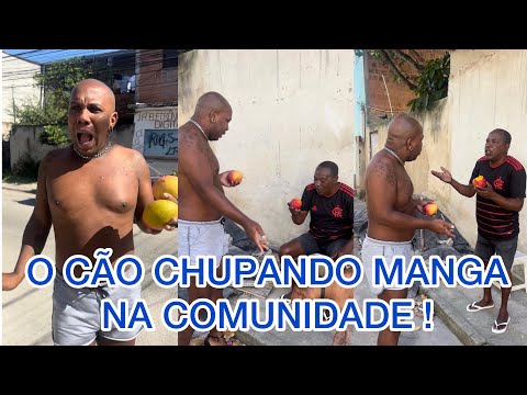 Vídeo: Mange e seu cão