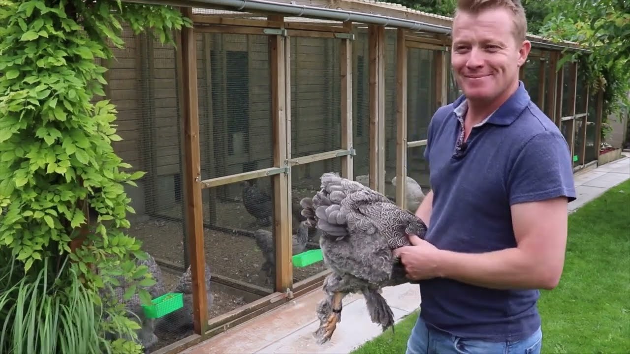 Reportage AVIPASSION chez Kevin VREYS