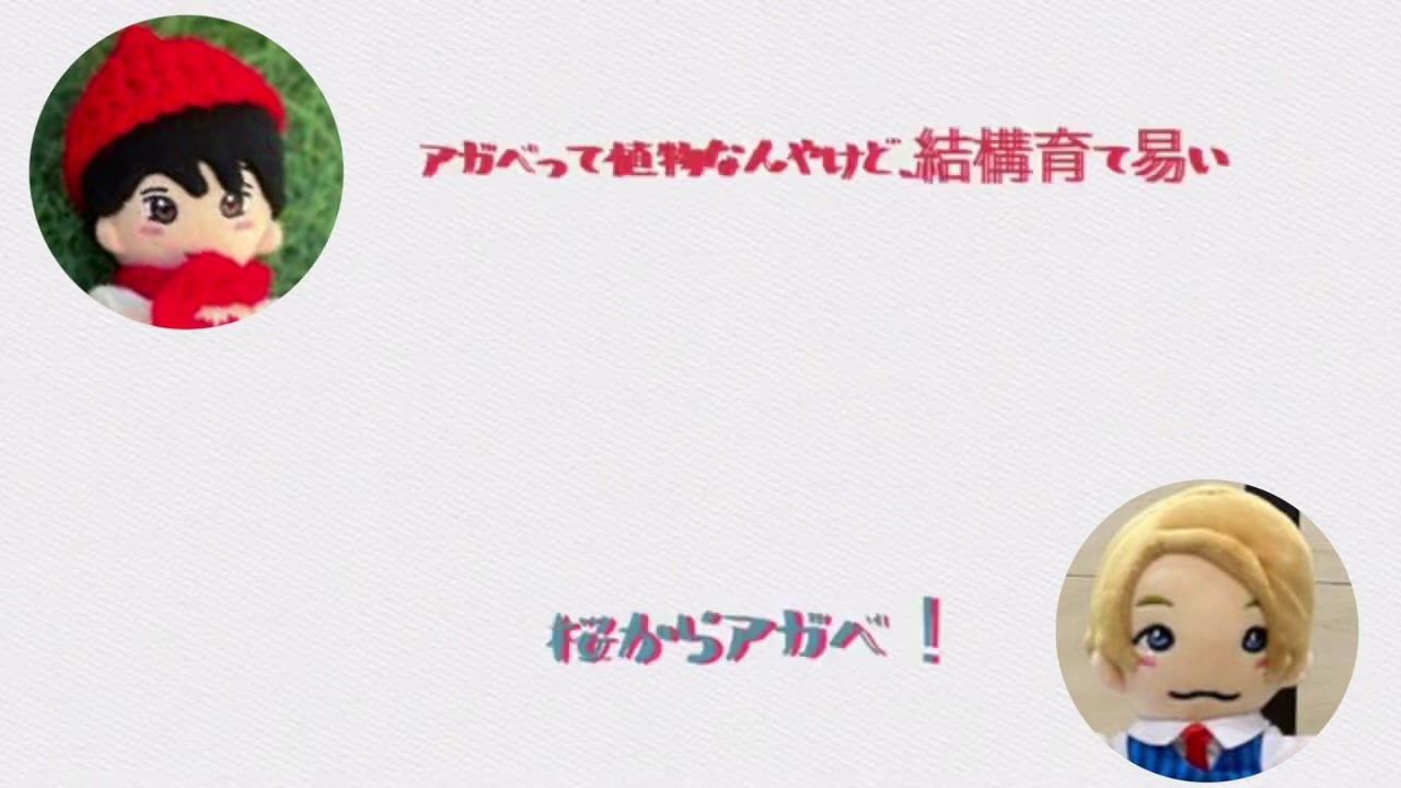 【Aぇ!ヤンタン💓すえのり】せーやくんのプライベートが謎な正門くん！2022/04/13