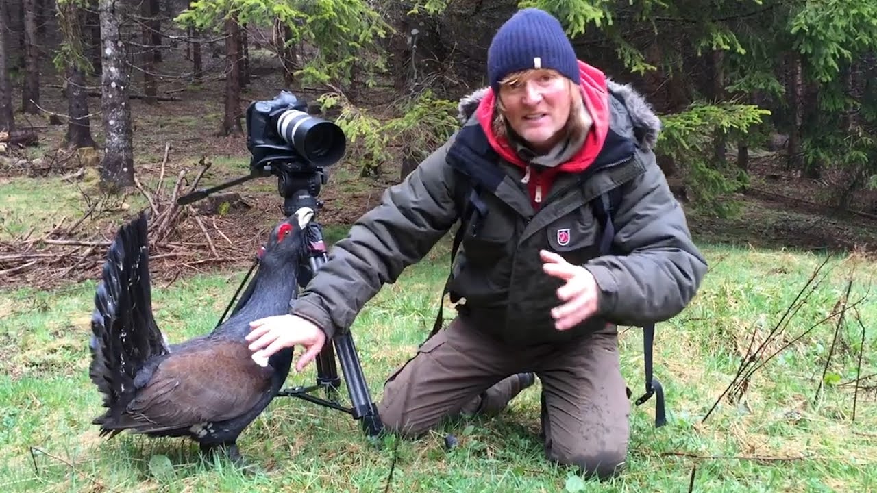 Carsten Stahl - Die besten Sprüche, Ausraster \u0026 Knockouts