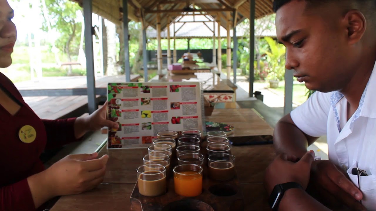 IS COFFEE MADE UP FROM AN ANIMAL POOP ????? / BALI SERIES YouTube