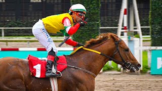 LE CORNETTE - INTERIOR SPECIALS - LA SANTA CÁNDIDA - DON PICHI - TALENTED HIT | MUST-WATCH