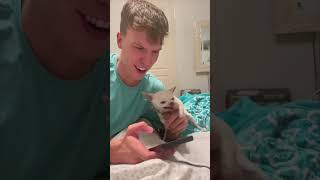 Dog Nibbles Owner’s Hand While Holding the Phone