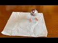 思ってたオヤツが貰えなくてこれじゃない感を出す文鳥　java sparrow