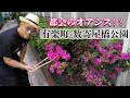 こうさんぽ - 有楽町 数寄屋橋公園編 -