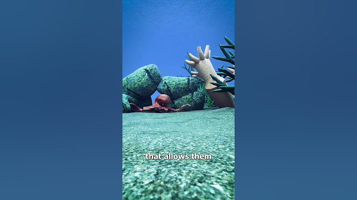 Octopus Limb Regrowth 🤔