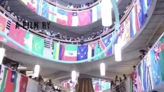 Illegalized Documentary Trailer