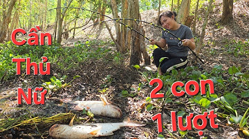 Tập Full 3 ngày Cá Ăn Mạnh Tại Tràm Chim | Săn bắt SÓC TRĂNG |