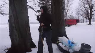 Maple tapping basics | How to tap a maple tree for syrup