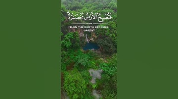 ألم تر أن الله أنزل من السماء ماء فتصبح الأرض مخضرة، سورة الحج، الشيخ عبدالله الجهني، قرآن ٣٠ ثانية
