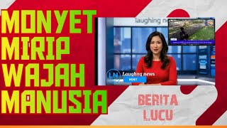 MONYET WAJAH MIRIP MANUSIA @laughing_news  #beritaparodi 