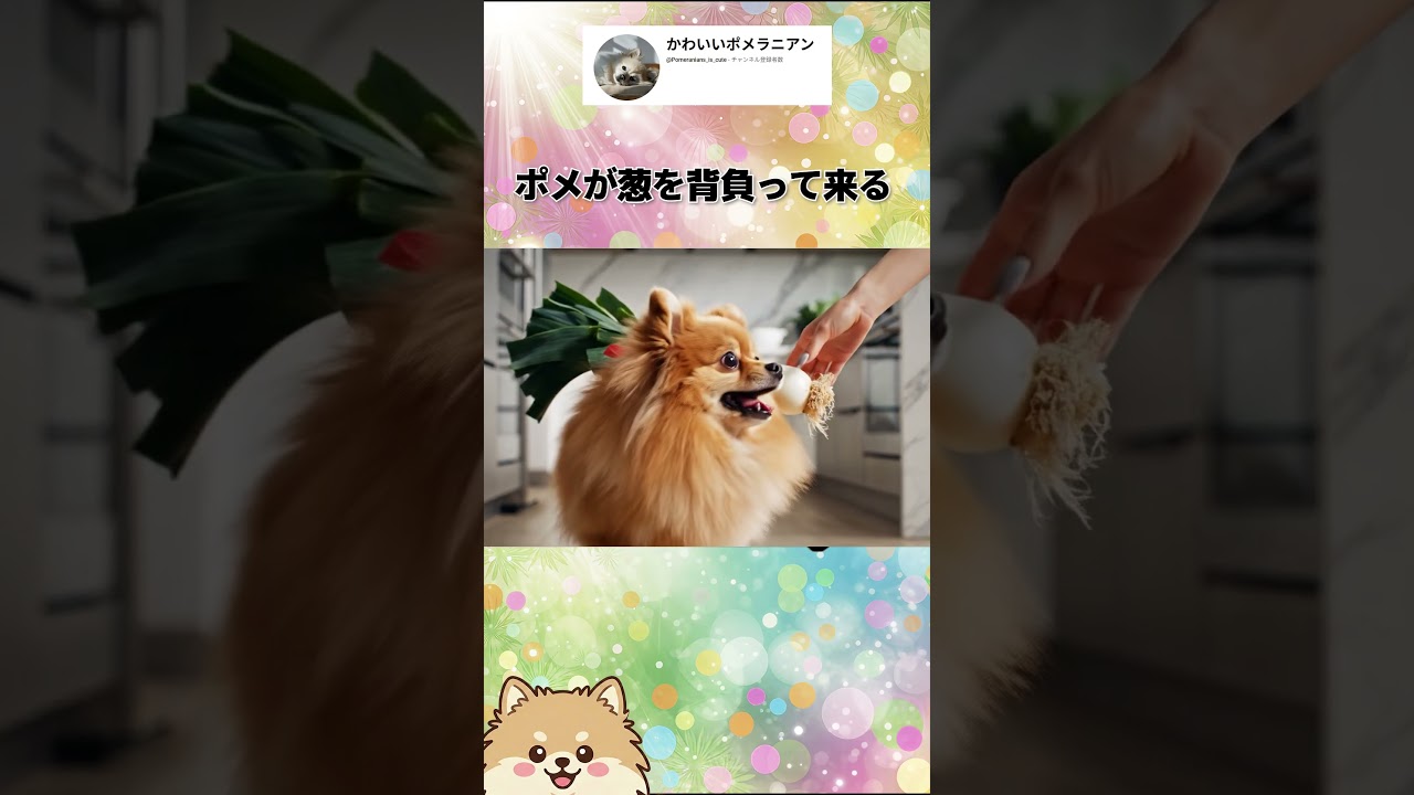 ポメが葱を背負って来る