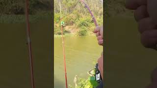 Ask My Wife To Go Fishing