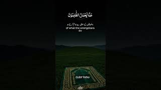 Beautiful Ayat in tarjama Urdu in the world 🌎🕳️#islamc#shorts #viral#video