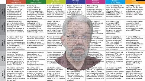 Process Insights: Building BPM Maturity