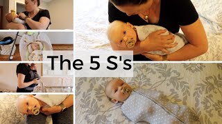 How to Calm a Fussy or Colicky Baby | The 5 S's