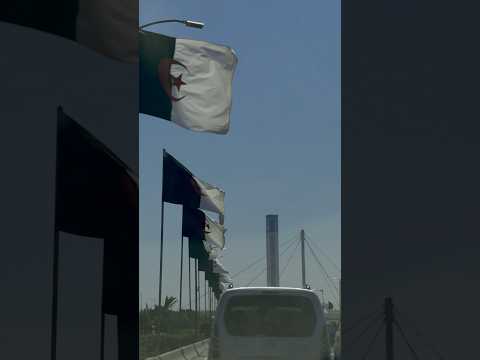 Alger Didinecanon16 Algeriamusic Tunisia Music Mouloudia Newyorkcity New Feeling Newlife