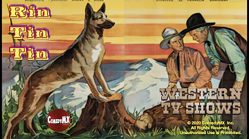 Che fine hanno fatto i protagonisti di Rin Tin Tin?