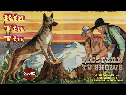 Video: Lupakan Uggie, Rin Tin Tin Adalah Film Asli (dan TV dan Radio) Star Dog