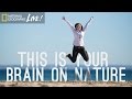 This is your brain on nature  nat geo live