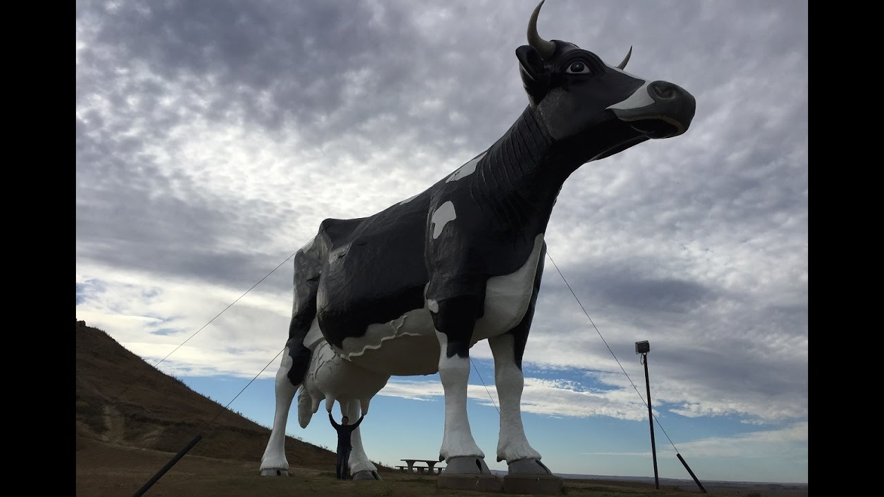North Dakota: Largest Cow