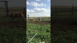 IMG 3276