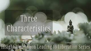 Three Characteristics : Insight (Vipassana) Meditation Leading to Liberation series 06