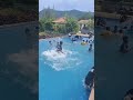 Jump to Swim