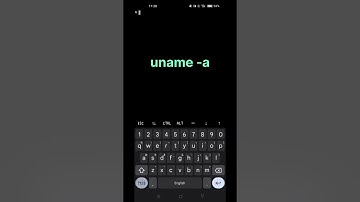 how to Setup Ngrok in Termux Android.