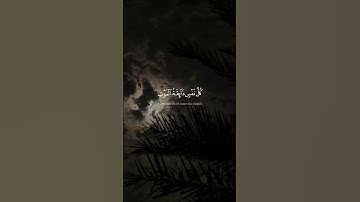 قرأت القران الكريم سورة العنكبوت